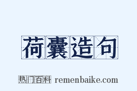荷囊造句是什么意思的图片